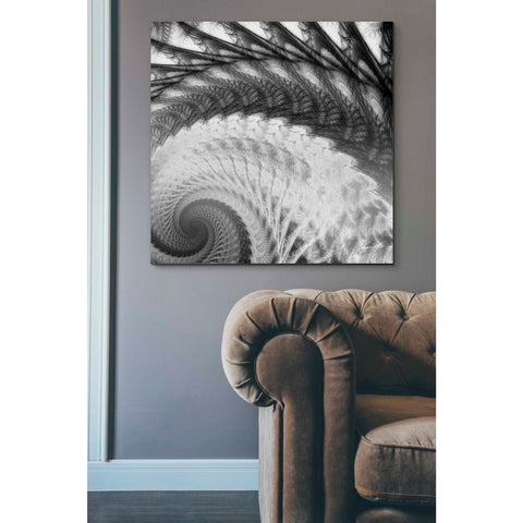 Image of 'Helix I' by James Burghardt Giclee Canvas Wall Art