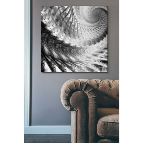 Image of 'Helix II' by James Burghardt Giclee Canvas Wall Art