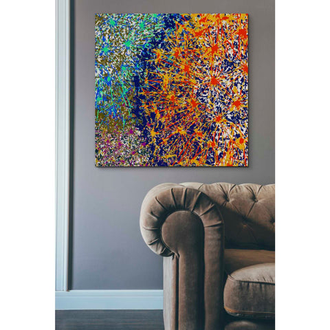 Image of 'Profusion I' by James Burghardt Giclee Canvas Wall Art