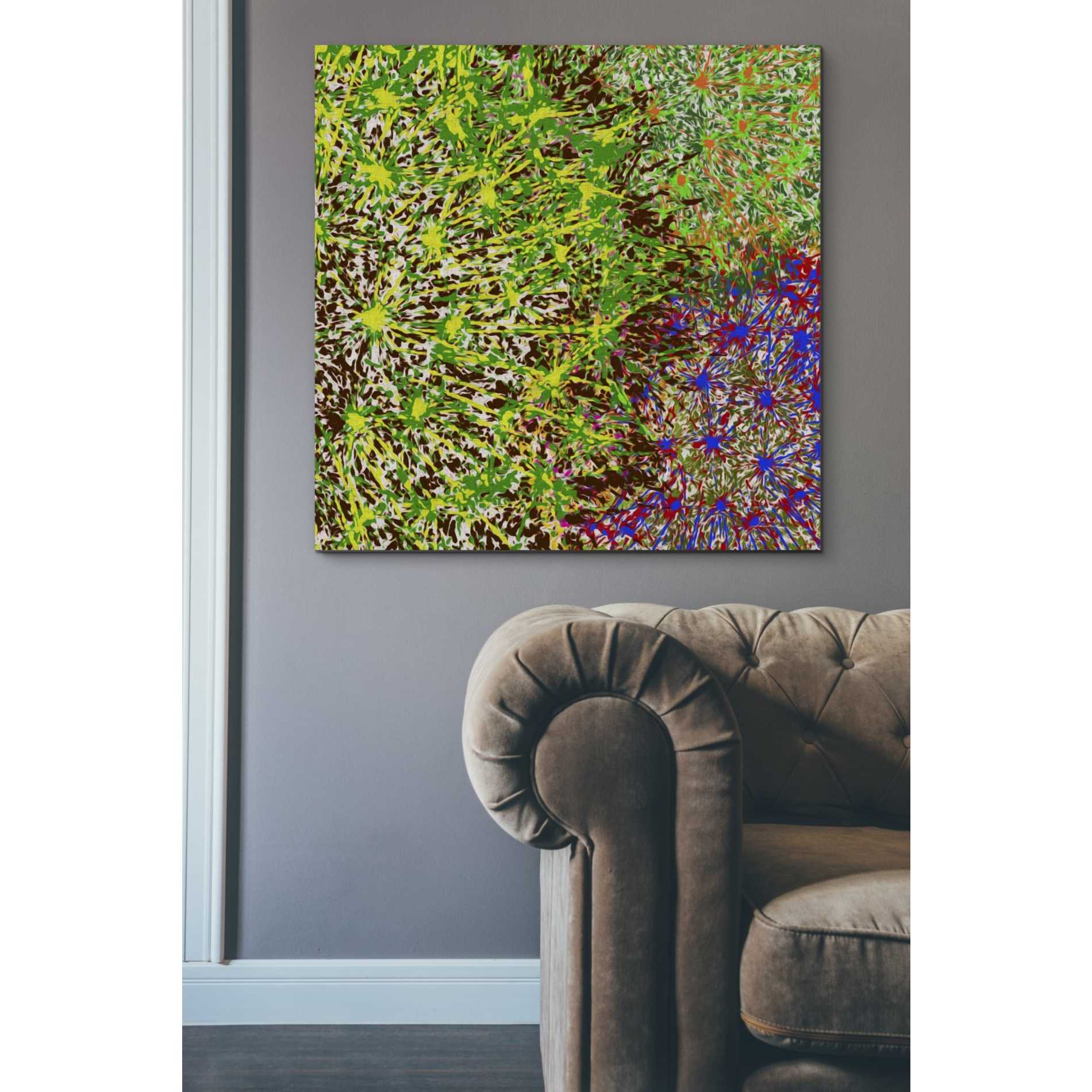 'Profusion II' by James Burghardt Giclee Canvas Wall Art