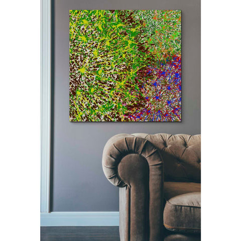 Image of 'Profusion II' by James Burghardt Giclee Canvas Wall Art