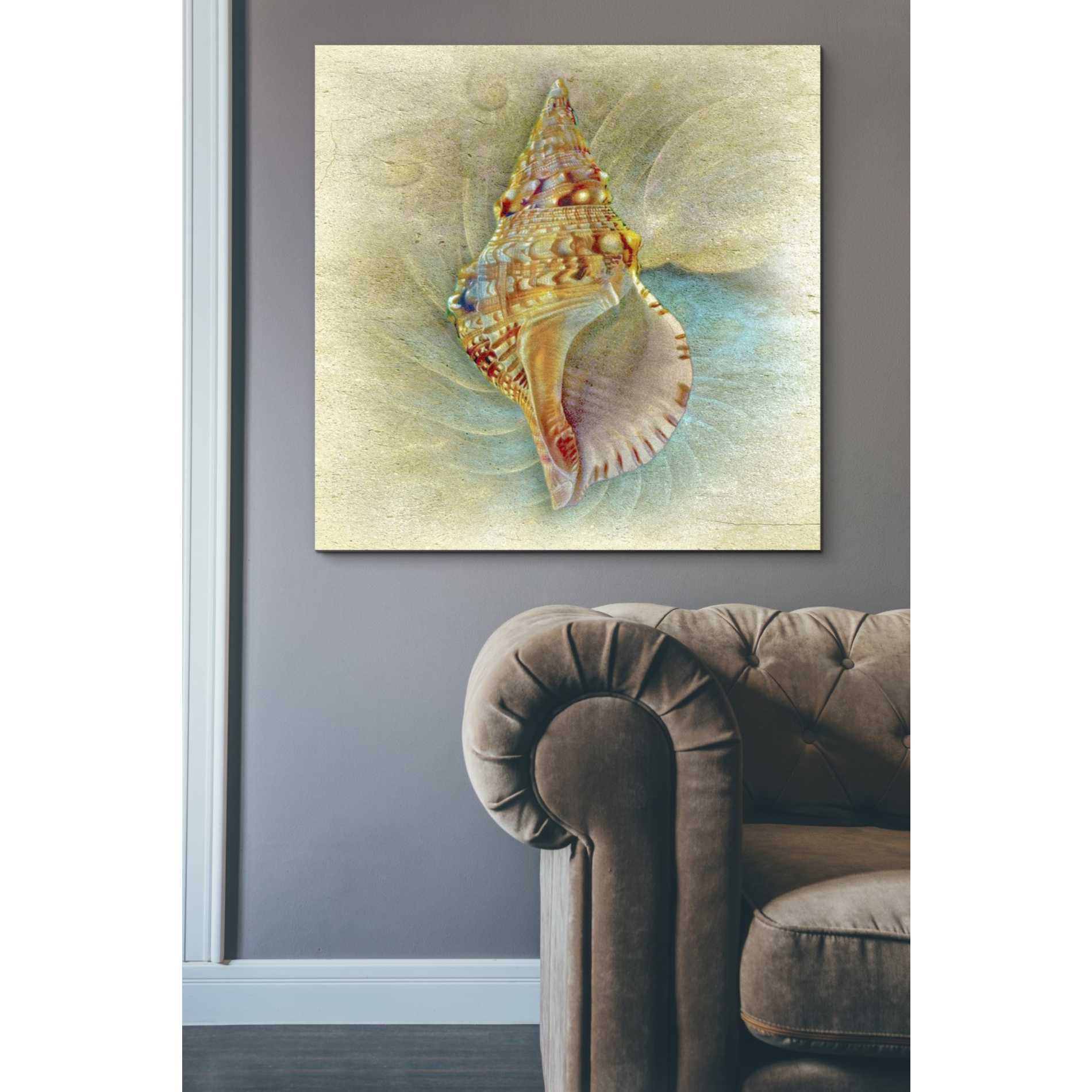 'Aquatica I' by Steve Hunziker Giclee Canvas Wall Art