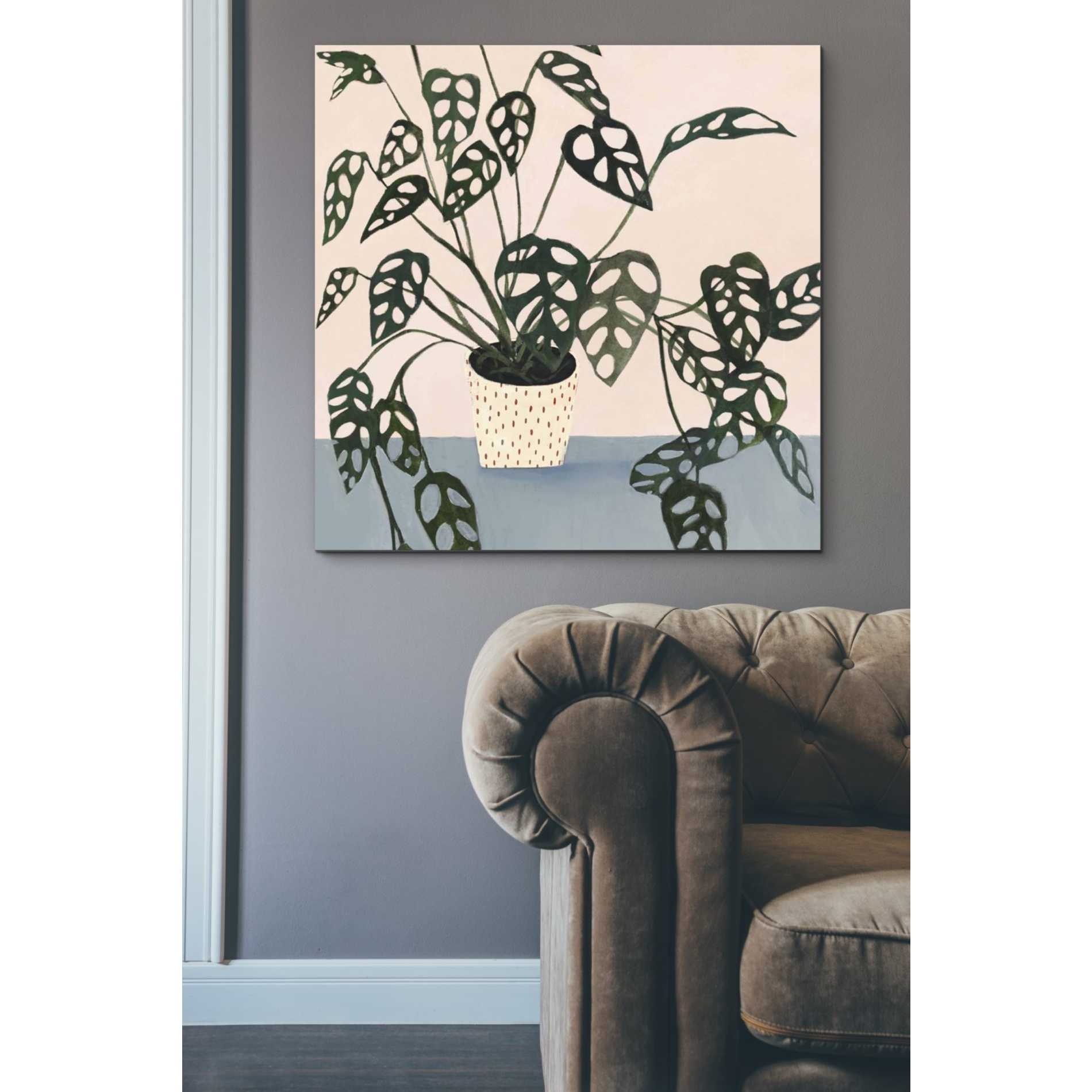 'Houseplant I' by Victoria Borges Canvas Wall Art,37 x 37