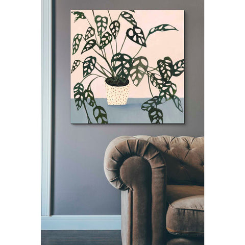 Image of 'Houseplant I' by Victoria Borges Canvas Wall Art,37 x 37