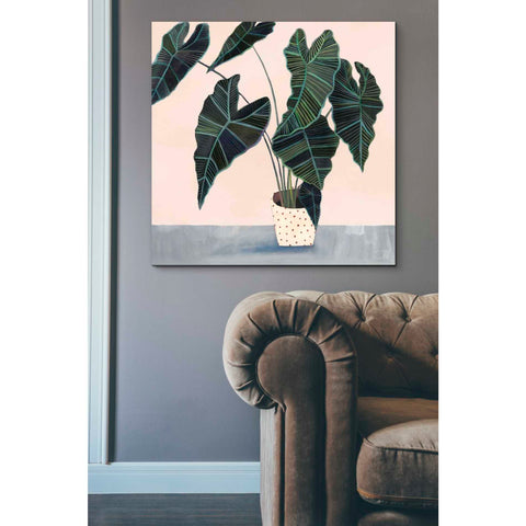 Image of 'Houseplant II' by Victoria Borges Canvas Wall Art,37 x 37
