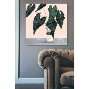 'Houseplant II' by Victoria Borges Canvas Wall Art,37 x 37