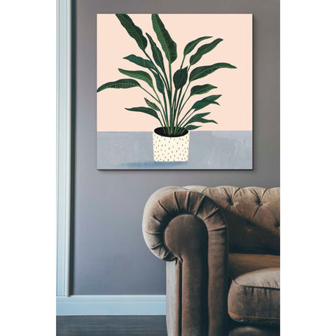 Image of 'Houseplant IV' by Victoria Borges Canvas Wall Art,37 x 37