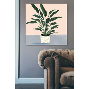 'Houseplant IV' by Victoria Borges Canvas Wall Art,37 x 37