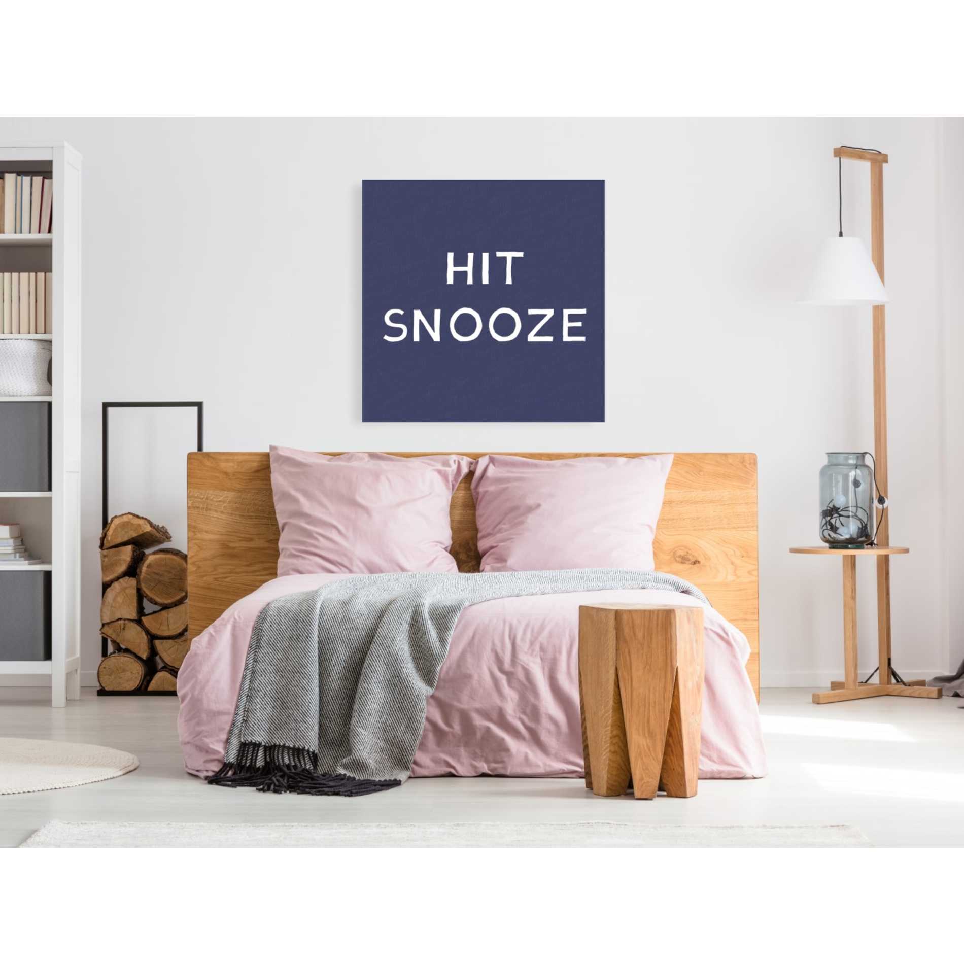 'Hit Snooze' by Linda Woods, Canvas Wall Art,37 x 37