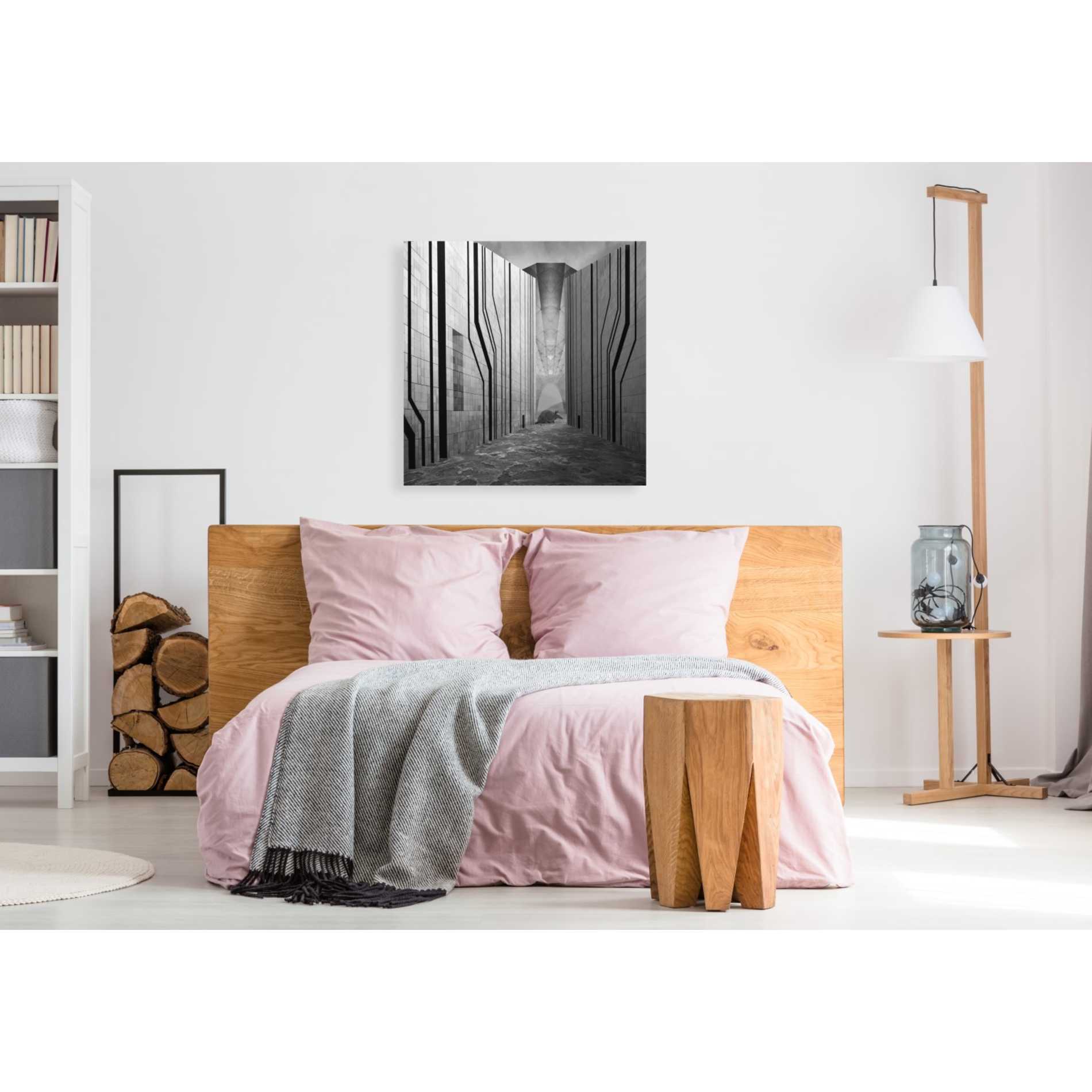 'Armadillo' by Dariusz Klimczak, Giclee Canvas Wall Art