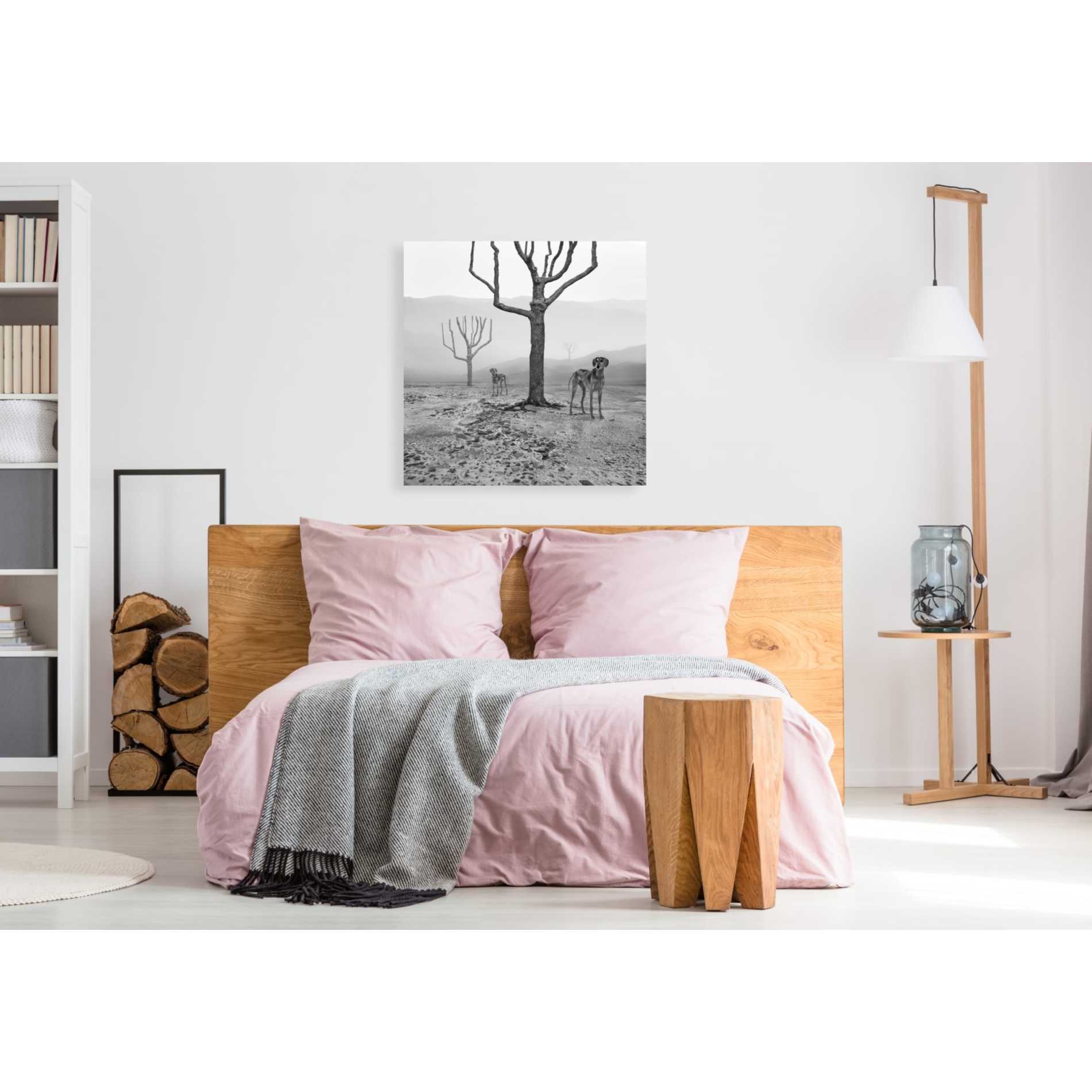 'Dogs in Fog' by Dariusz Klimczak, Giclee Canvas Wall Art