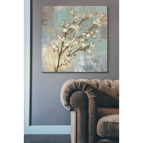 Image of 'Kyoto Blossoms I' by Silvia Vassileva, Canvas Wall Art,37 x 37