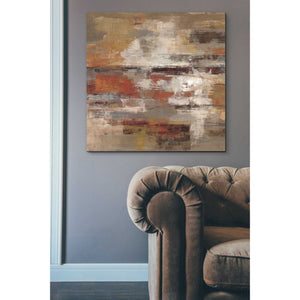 'Painted Desert' by Silvia Vassileva, Canvas Wall Art,37 x 37