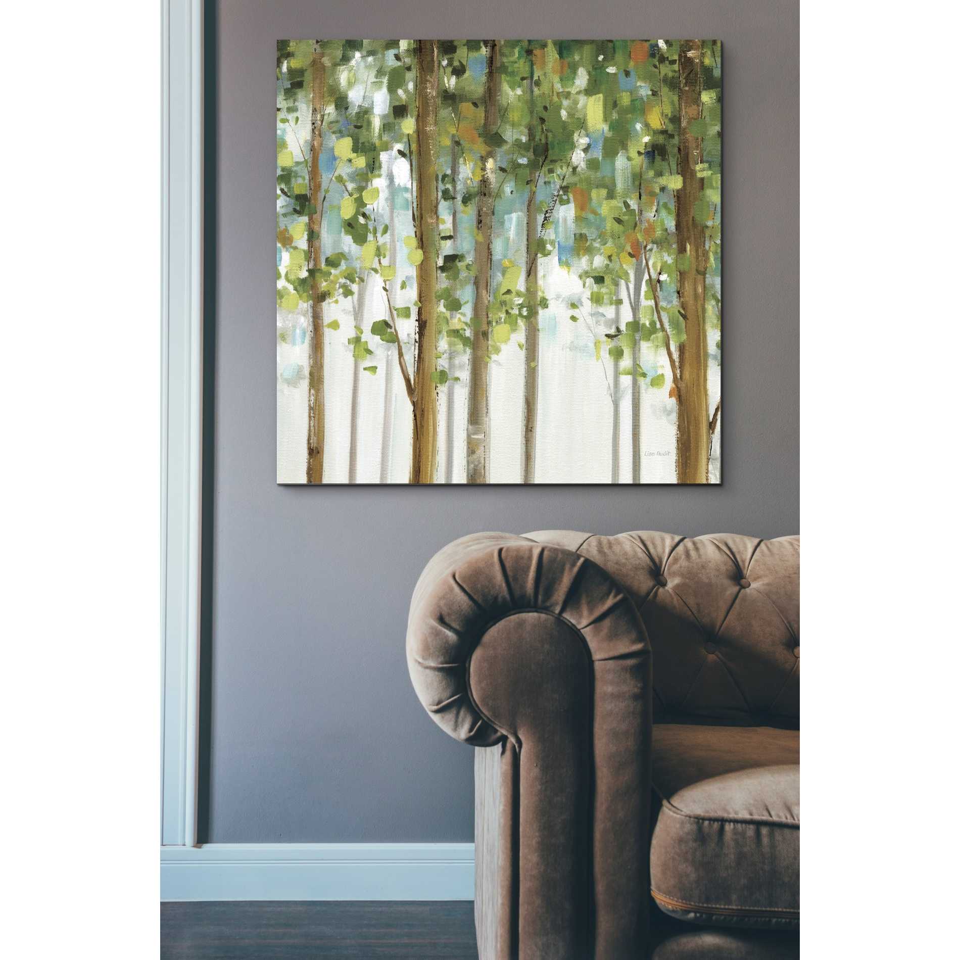 'Forest Study' by Lisa Audit, Canvas Wall Art,,37 x 37