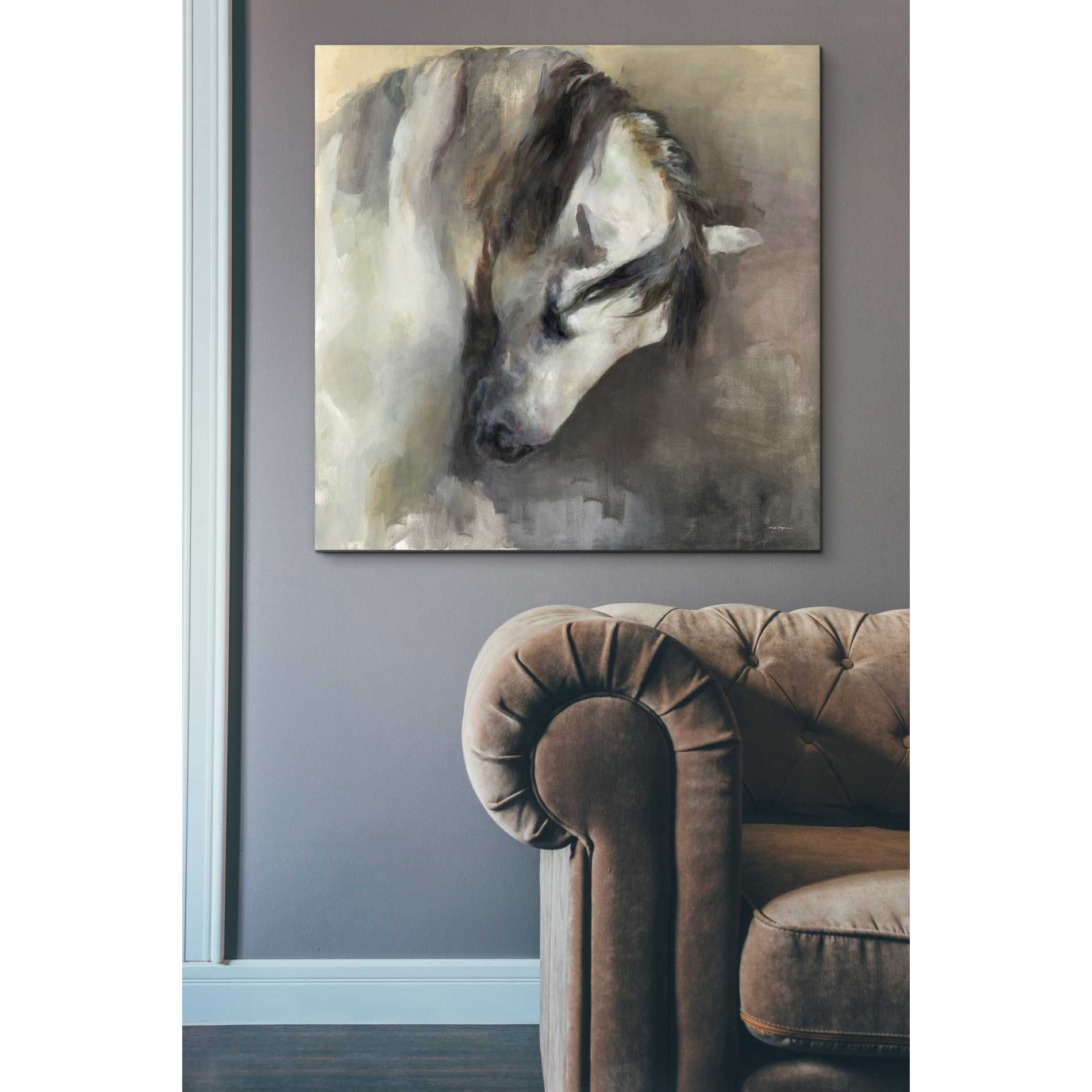 'Classical Horse' by Marilyn Hageman, Canvas Wall Art,37 x 37