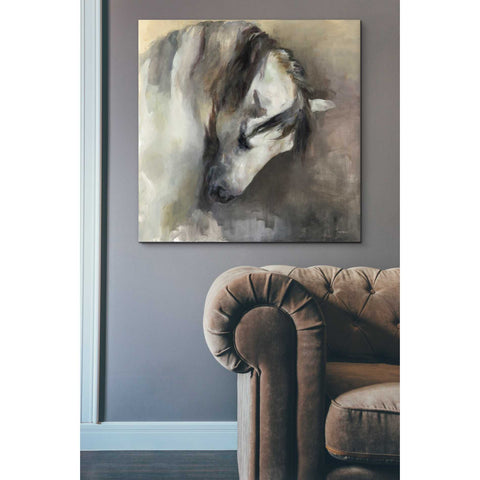 Image of 'Classical Horse' by Marilyn Hageman, Canvas Wall Art,37 x 37