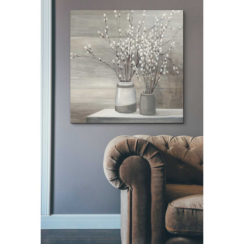 Image of 'Pussy Willow Still Life Gray Pots' by Julia Purinton, Canvas Wall Art,37 x 37
