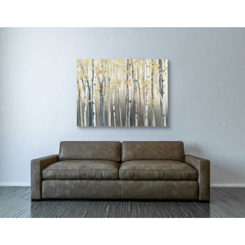 Image of 'Golden Birch III Landscape' by Marilyn Hageman, Canvas Wall Art,40 x 54