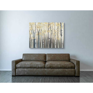 'Golden Birch III Landscape' by Marilyn Hageman, Canvas Wall Art,40 x 54