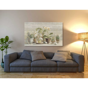 'Greenhouse Orchids on Wood' by Danhui Nai, Canvas Wall Art,40 x 54