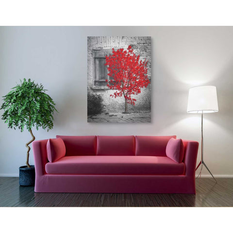 Image of 'Passion' Canvas Wall Art,40 x 54