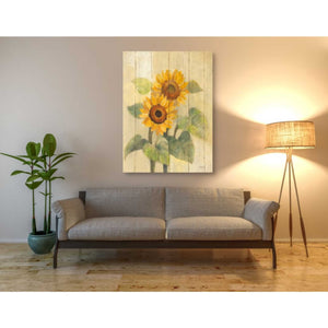'Summer Sunflowers I on Barn Board' by Albena Hristova, Canvas Wall Art,40 x 54