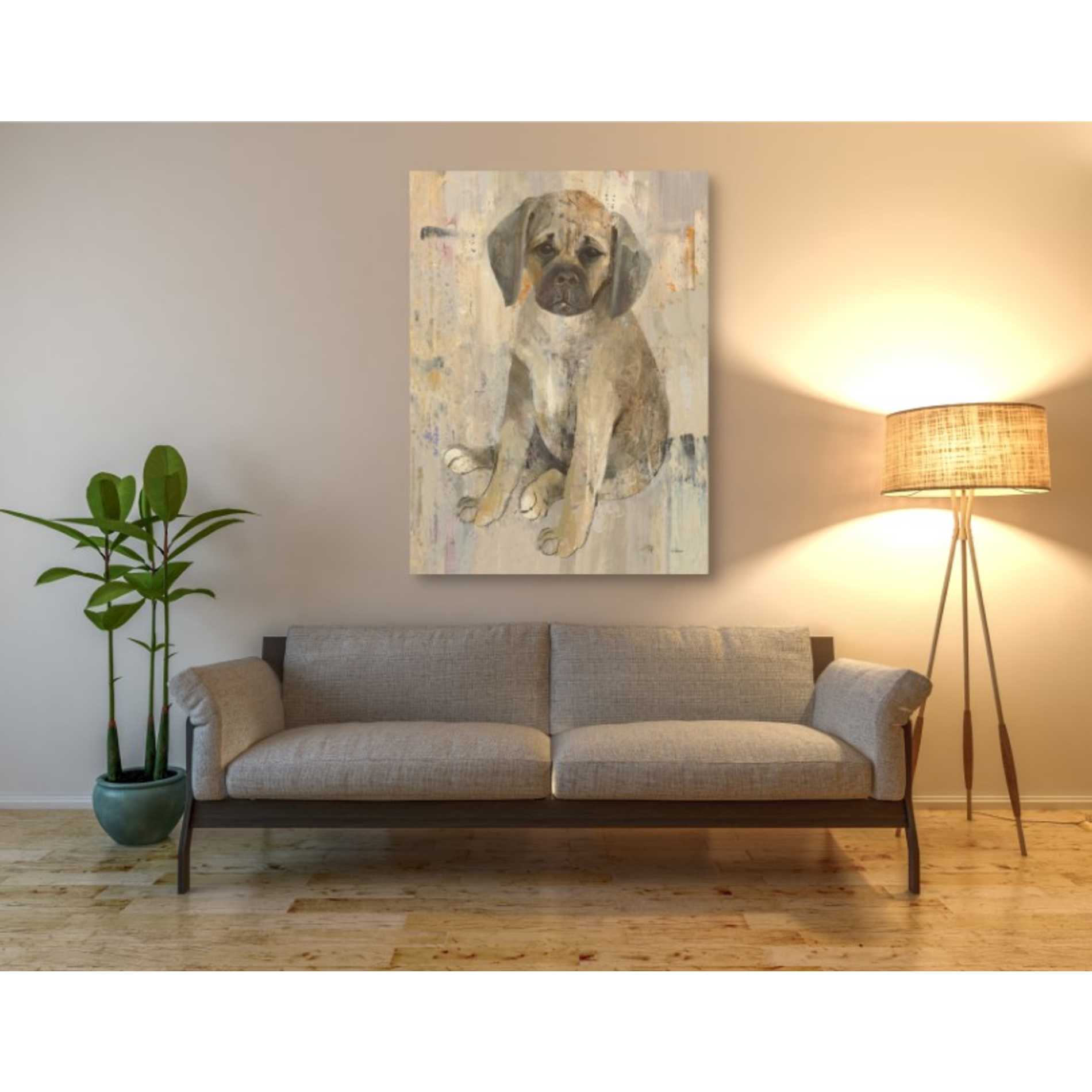 'Paco v2' by Albena Hristova, Canvas Wall Art,40 x 54