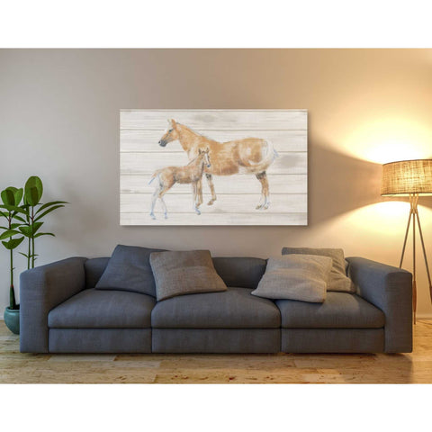 Image of 'Horse and Colt on Wood' by Emily Adams, Canvas Wall Art,40 x 54