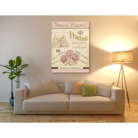 Image of 'French Seed Packet III' by Daphne Brissonet, Canvas Wall Art,40 x 54