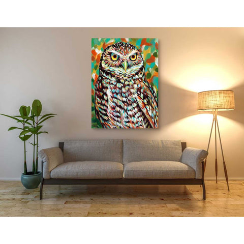 Image of 'Furry Feather Friends II' by Carolee Vitaletti Giclee Canvas Wall Art