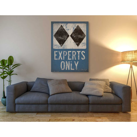 Image of 'Experts Only Blue' by Ryan Fowler, Canvas Wall Art,40 x 54