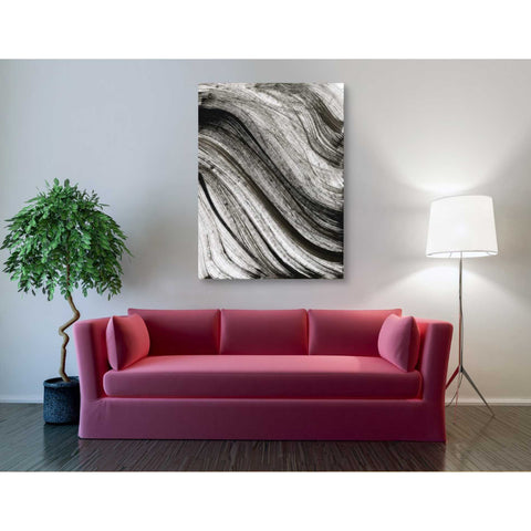 Image of 'Avalanche' Canvas Wall Art,40 x 54