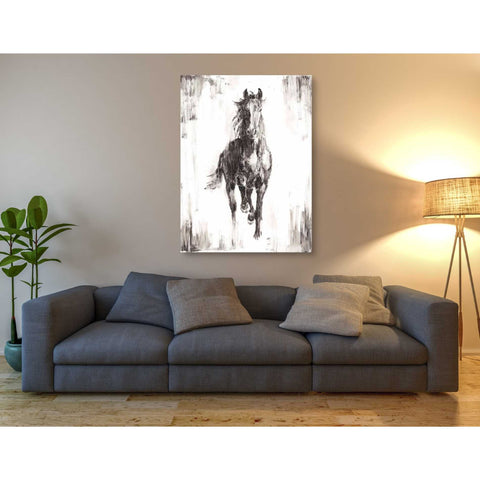 Image of 'Rustic Black Stallion I' by Ethan Harper Canvas Wall Art,40 x 54