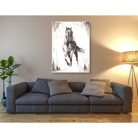 Image of 'Rustic Black Stallion II' by Ethan Harper Canvas Wall Art,40 x 54