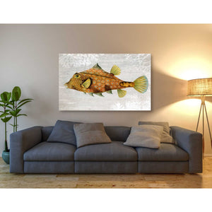 'Gold Turret Fish' by Fab Funky Giclee Canvas Wall Art