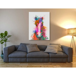 'Horse Portrait 2 Rainbow Splash' by Fab Funky Giclee Canvas Wall Art