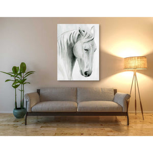 'Horse Whisper II' by Grace Popp Canvas Wall Art,40 x 54
