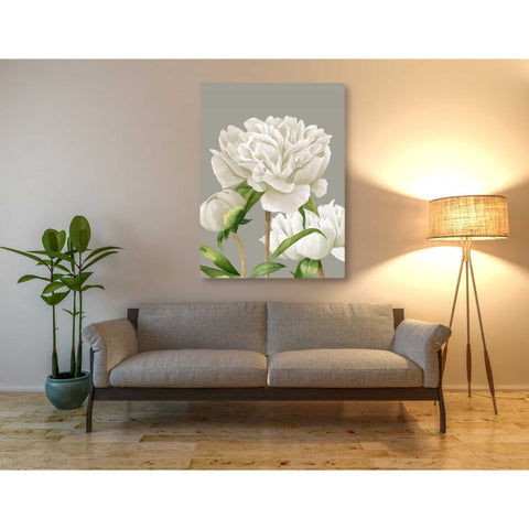 Image of 'White Peonies II' by Grace Popp Canvas Wall Art,40 x 54