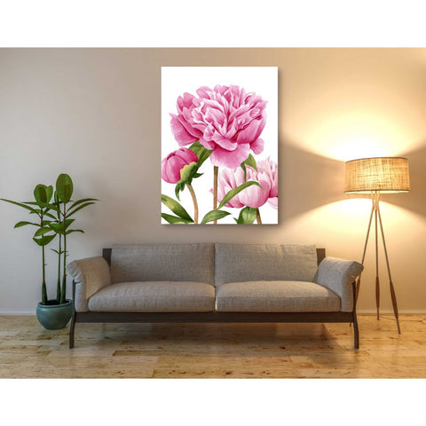 Image of 'Winsome Peonies II' by Grace Popp Canvas Wall Art,40 x 54