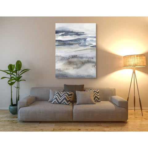 Image of 'Neutral Salt Spray I' by Victoria Borges Canvas Wall Art,40 x 54