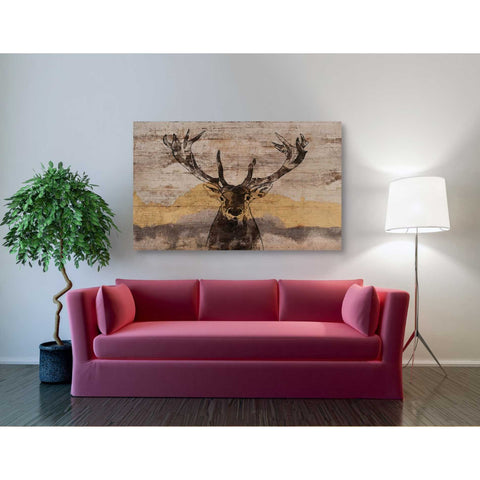 Image of 'White-Tailed Deer' by Irena Orlov, Canvas Wall Art,54 x 40