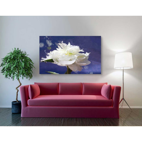 Image of 'White Peony-Scents of Heaven' by Irena Orlov, Canvas Wall Art,54 x 40