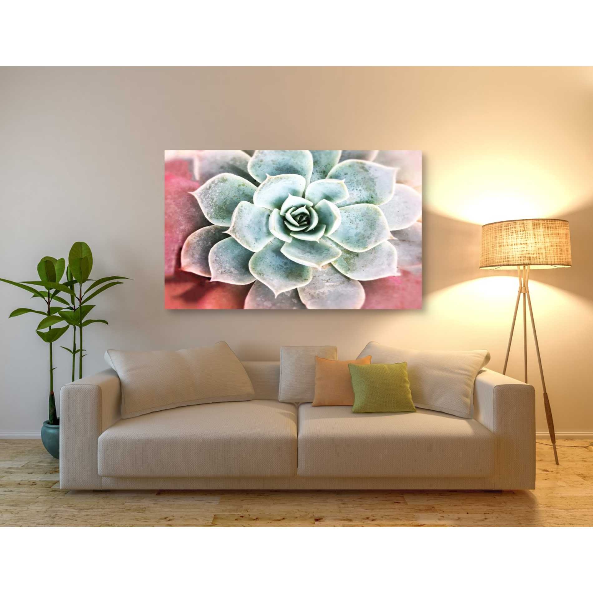 'Succulent Garden' by Irena Orlov, Canvas Wall Art,54 x 40