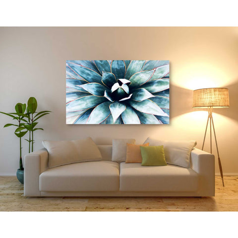 Image of 'Tropical Star' by Irena Orlov, Canvas Wall Art,54 x 40
