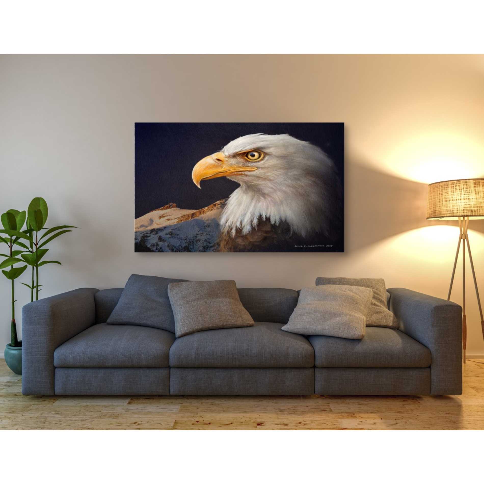'Bald Eagle Study' by Chris Vest, Giclee Canvas Wall Art