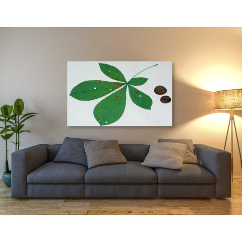 Image of 'Horse Chestnut' by Zigen Tanabe, Giclee Canvas Wall Art