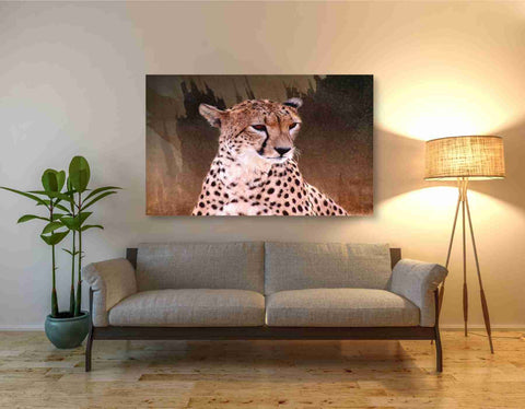 Image of 'Wildness Cheetah' by Karen Smith, Canvas Wall Art,54x40
