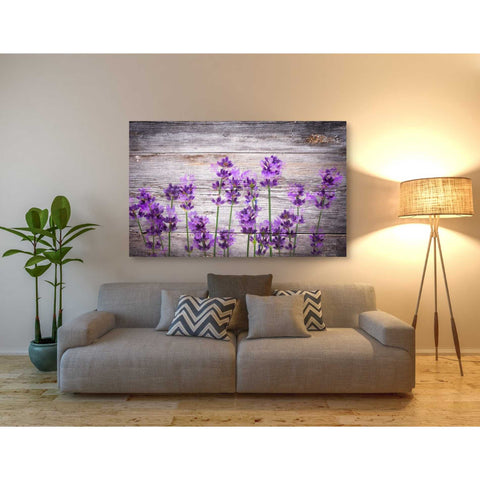 'Serene and Rustic' Canvas Wall Art,40 x 60