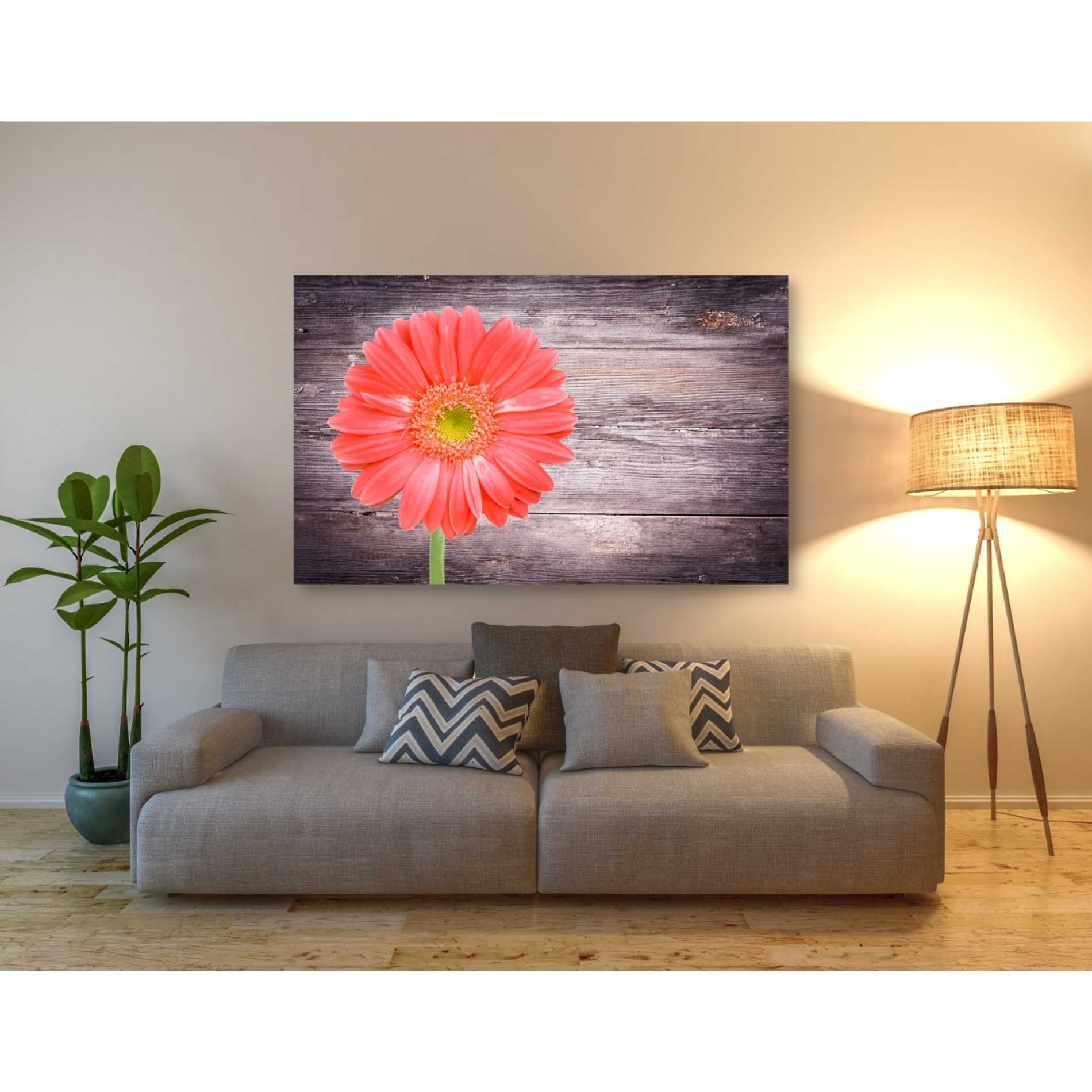 'Vitamin C' Canvas Wall Art,40 x 60