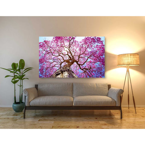 Image of 'Thing of Beauty' Canvas Wall Art,40 x 60